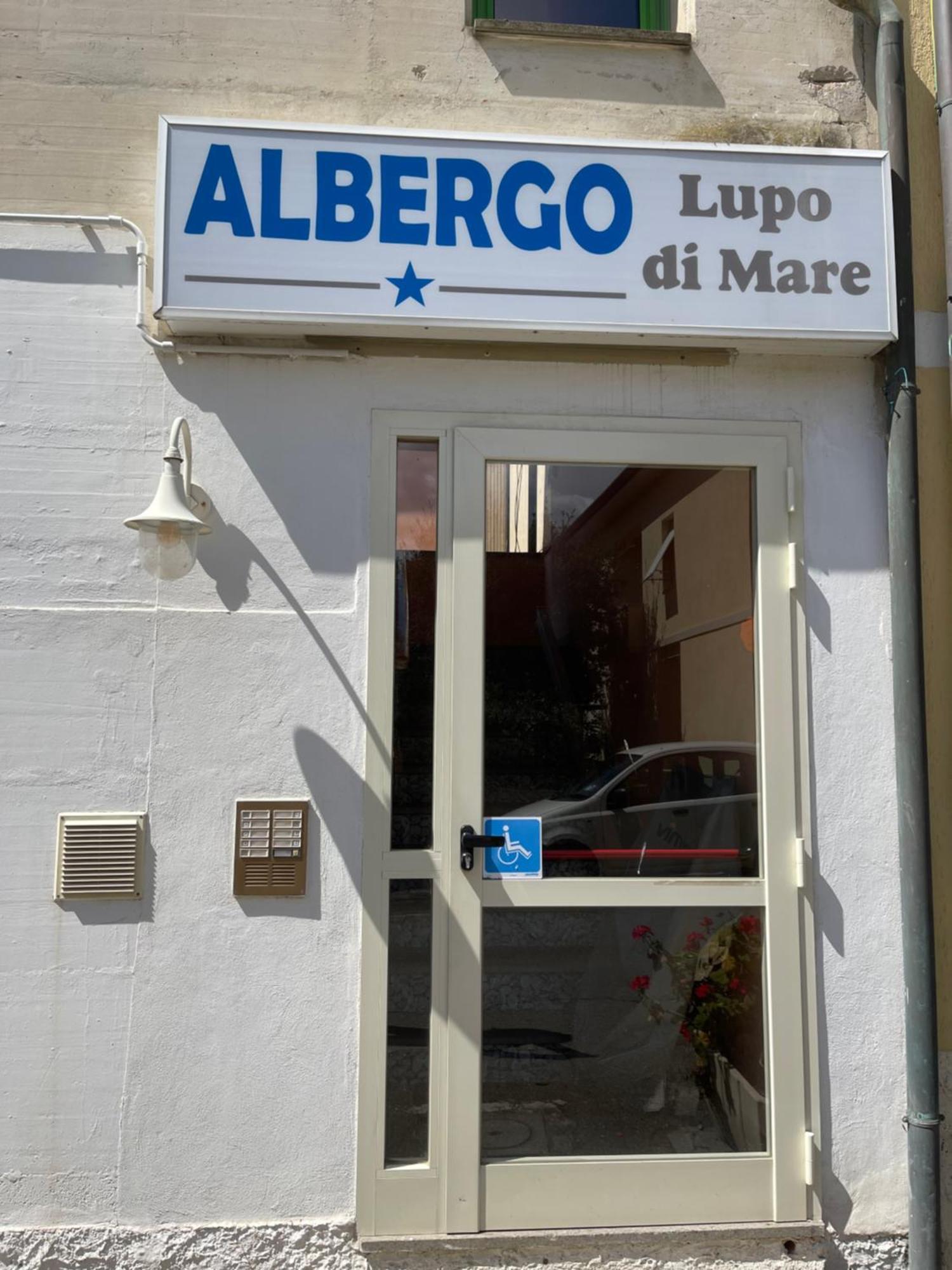 Hotel Lupo Di Mare Marina di Castagneto Carducci Zewnętrze zdjęcie